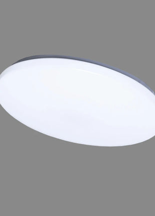 4772007006793