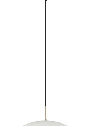 5201769111159