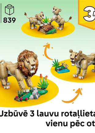 5702018054802