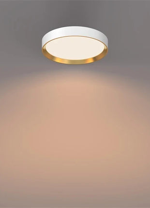 8720169301375